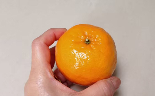 Cách tỉa quả cam đơn giản mà đẹp mắt - 1