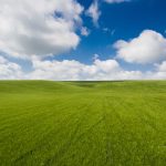 Unbelievably Clean Photo of Wheat Field with Clouds