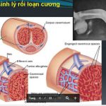 2 rắc rối lớn trong chuyện thầm kín mà không ít cặp đôi đang âm thầm chịu đựng - Ảnh 5.