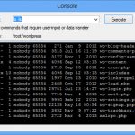terminal-winscp