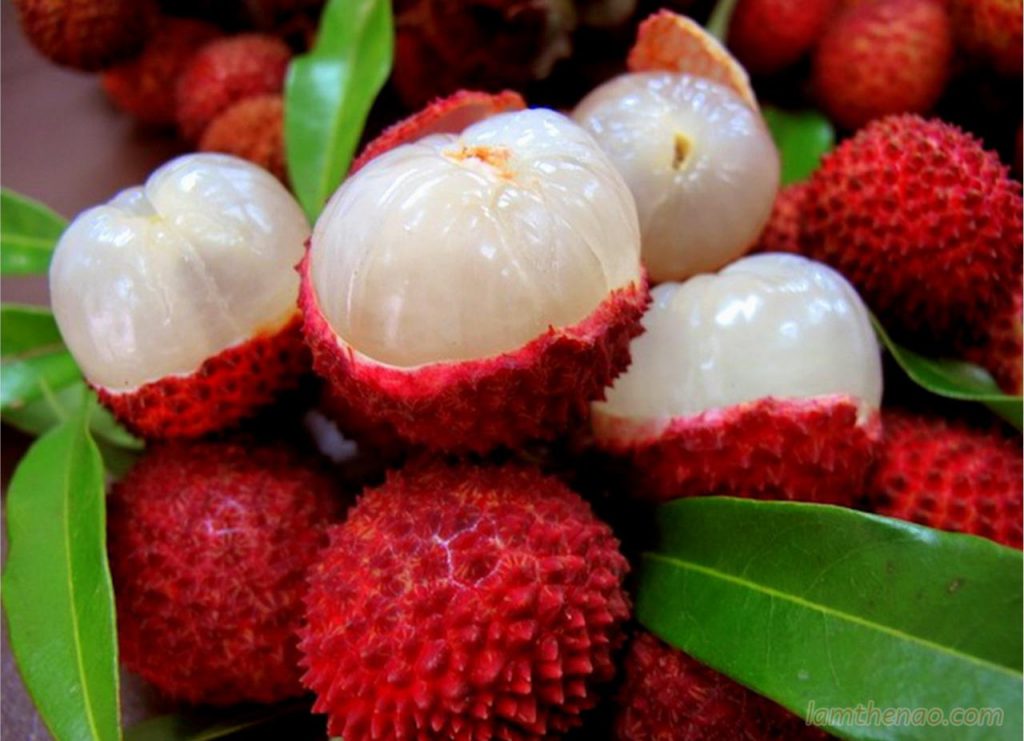 Trẻ ăn vải thế nào mới đúng cách?