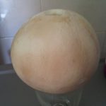 cach-lam-banh-flan-trai-dua-cho-be-5