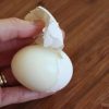 meo-hay-blogtamsuvn7