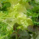 Cuối tuần, làm bún chả Hà Nội chiêu đãi cả nhà