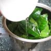 công dụng lá trà xanh