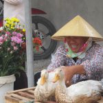 Mẹo chọn mua hoa quả và đồ lễ Tết Đoan Ngọ