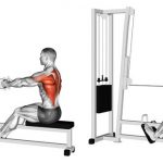 Giảm 40kg trong 9 tháng, cô gái 100 cân đã chăm chỉ tập những bài tập này, ai muốn giảm cân cũng nên tham khảo - Ảnh 7.